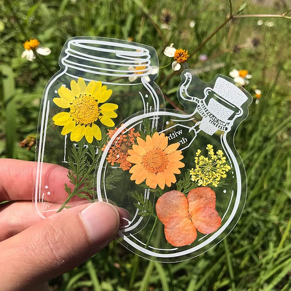 30Pcs DIY Transparent Dried Fl - مراجعة Dried Flower Bookmark وسعره