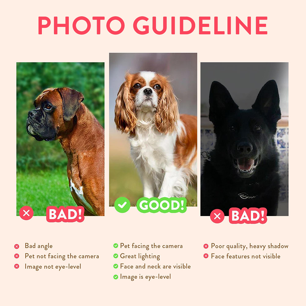 Personalized Pet Portraits Pho - مراجعة Pet Portrait Custom وسعره