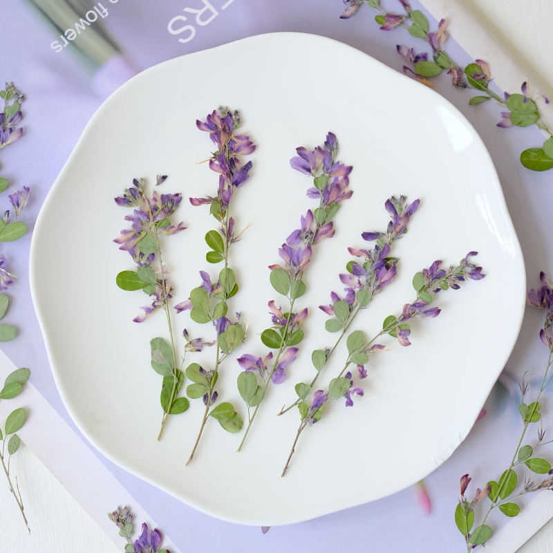6pcs,nature Lespedeza Formosa  - مراجعة Dried Flower Bookmark وسعره