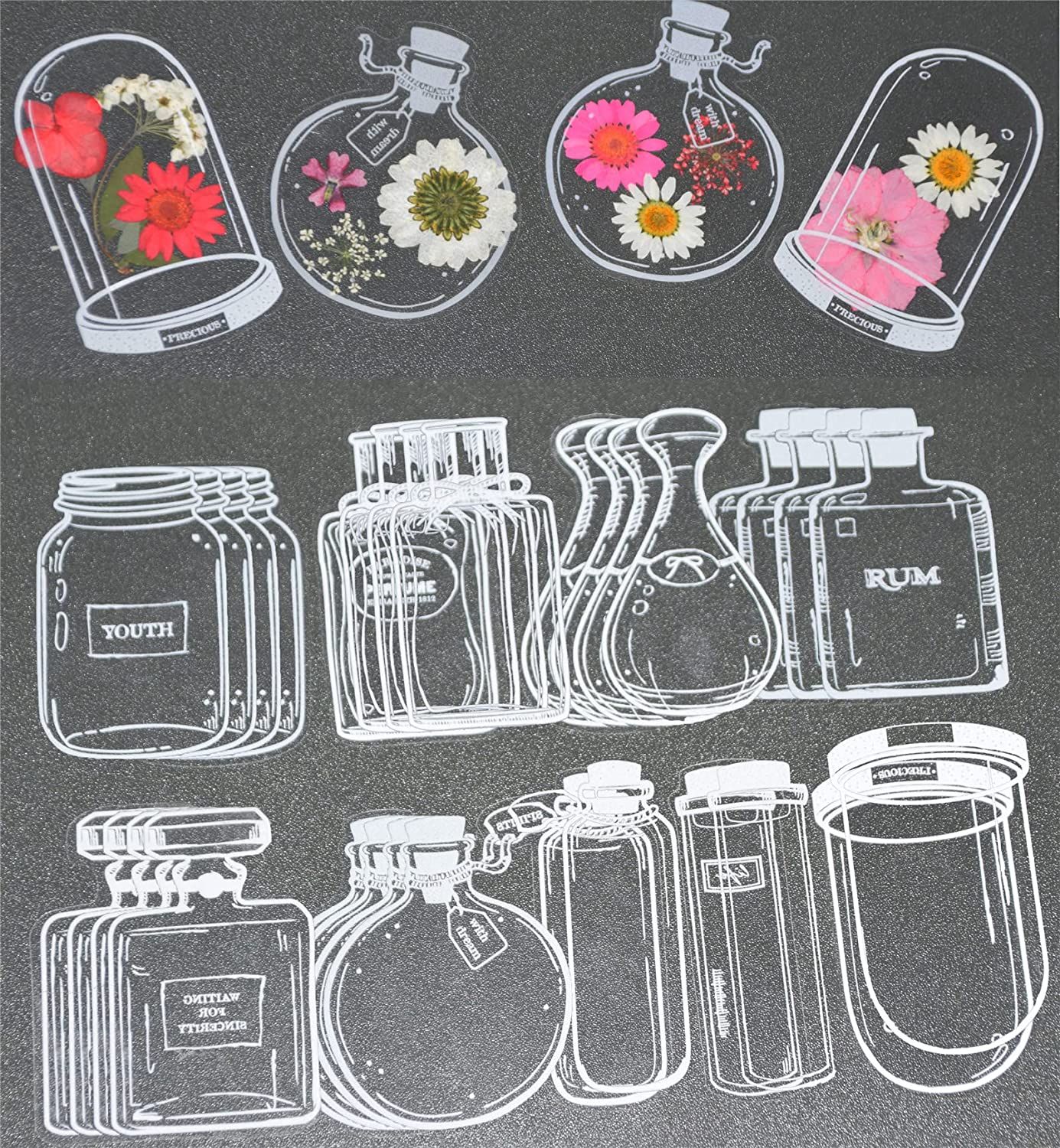 30Pcs Handmade DIY Transparent - مراجعة Dried Flower Bookmark وسعره