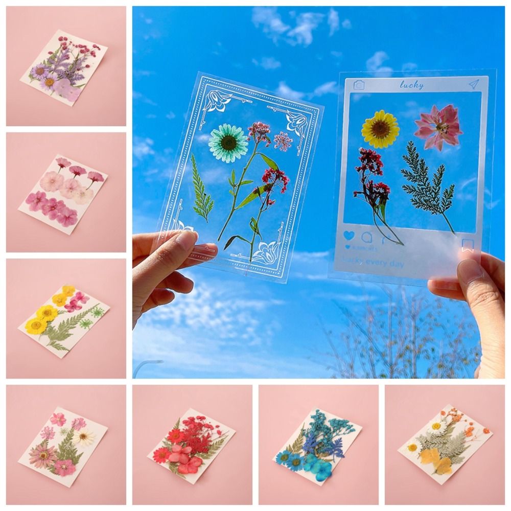 DIY Materials DIY Dried Flower - مراجعة Dried Flower Bookmark وسعره