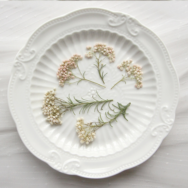12pcs,Nature Millet flower bra - مراجعة Dried Flower Bookmark وسعره