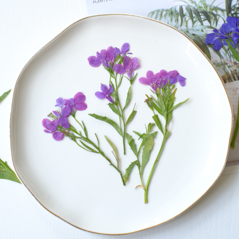 6pcs/8-13cm,nature Lobelia Eri - مراجعة Dried Flower Bookmark وسعره