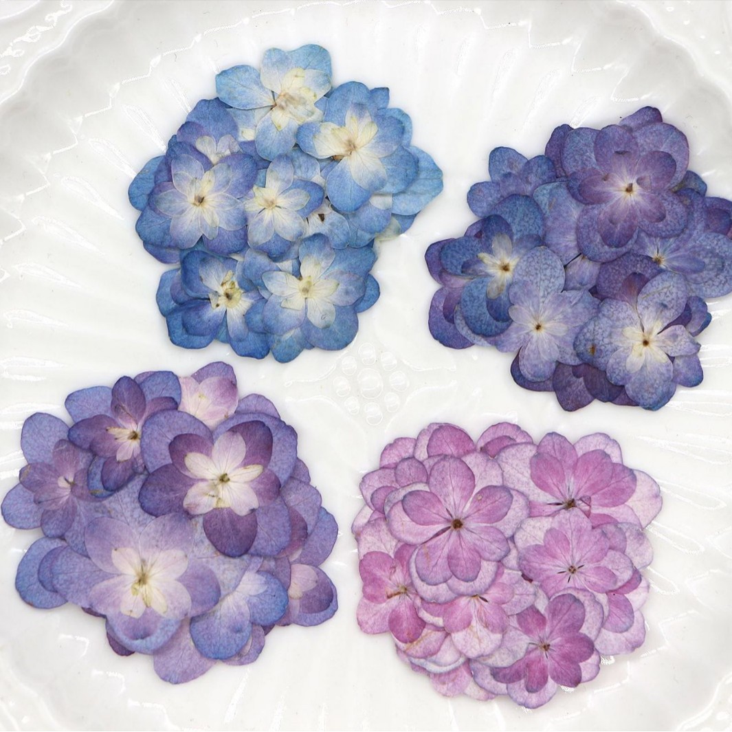 60Pcs Mini Double-Flowered Hyd - مراجعة Dried Flower Bookmark وسعره