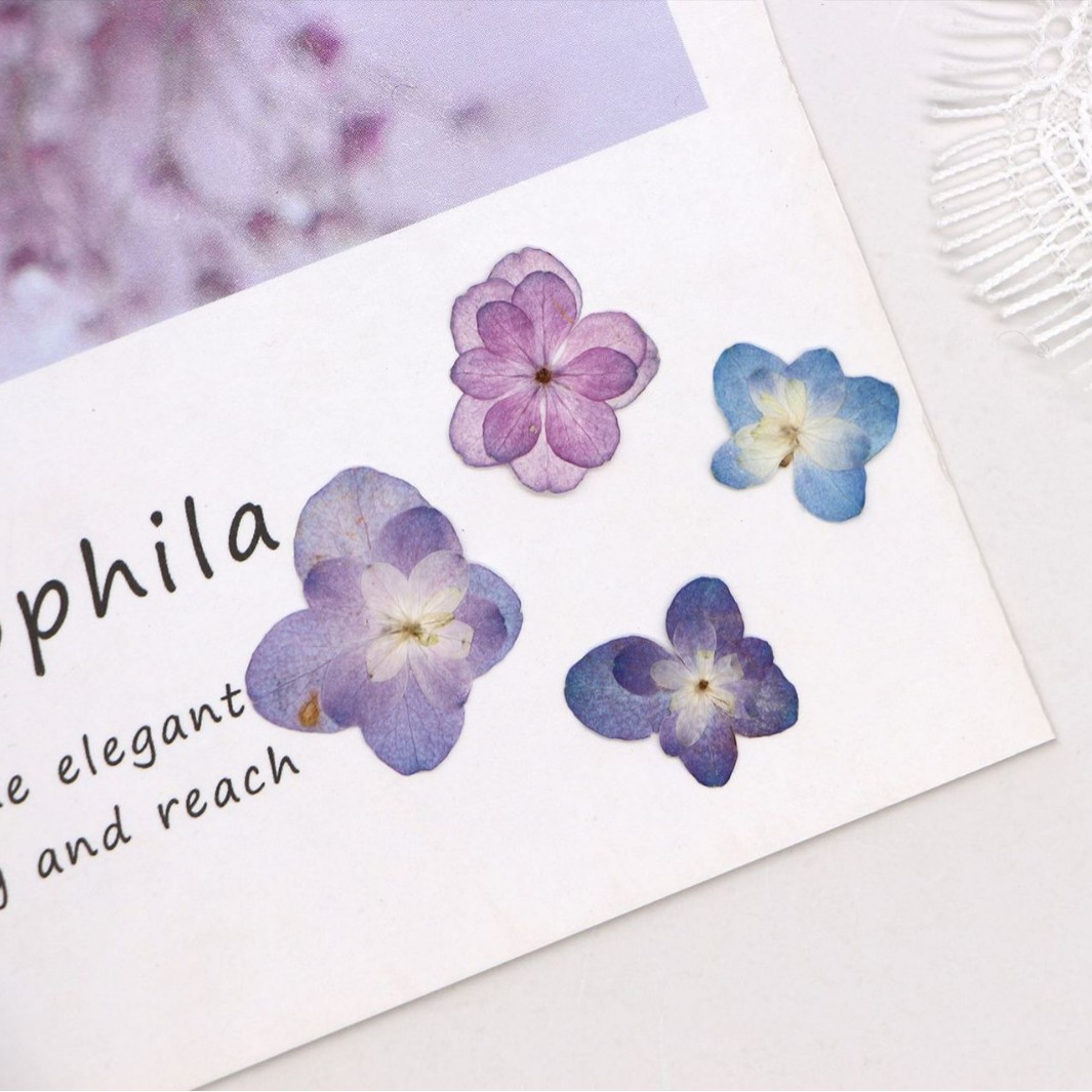 60Pcs Mini Double-Flowered Hyd - مراجعة Dried Flower Bookmark وسعره