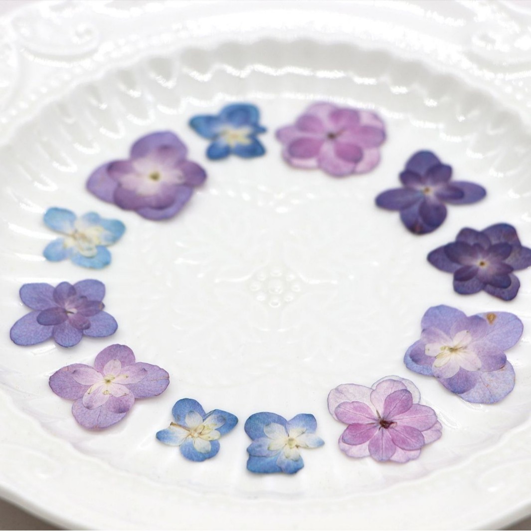 60Pcs Mini Double-Flowered Hyd - مراجعة Dried Flower Bookmark وسعره