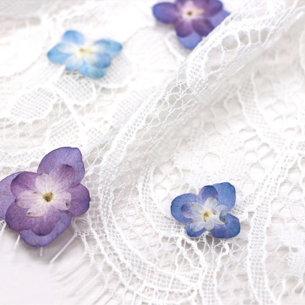 60Pcs Mini Double-Flowered Hyd - مراجعة Dried Flower Bookmark وسعره
