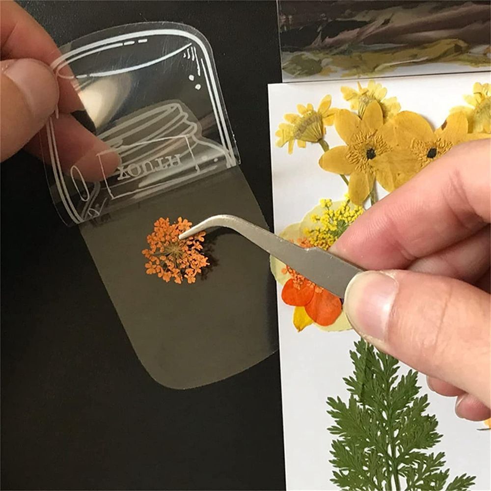 30Pcs Transparent Dried Flower - مراجعة Dried Flower Bookmark وسعره